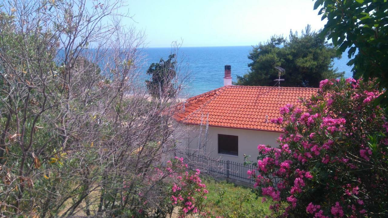 Maisonette Close To The Beach นิกิติ ภายนอก รูปภาพ
